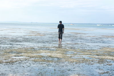 Rear view of man walking on beach against sky