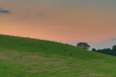 Scenic view of field against sky during sunset