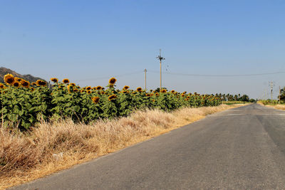 Road amidst field against clear sky