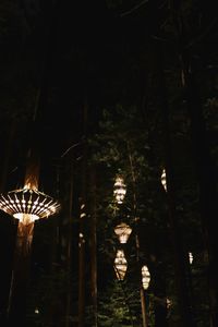 Low angle view of illuminated lights hanging from tree at night