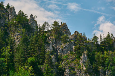 Nature scenery with mountains and sky