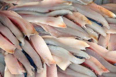 Close-up of fishes for sale at market