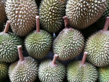 Full frame shot of fruits growing on market