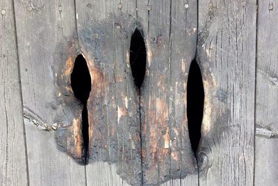 Close-up of old wooden door