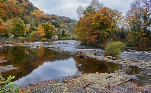 Scenic view of lake amidst trees during autumn