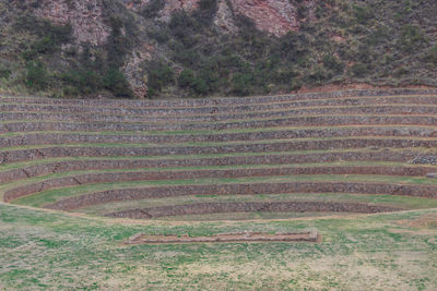 High angle view of agricultural field