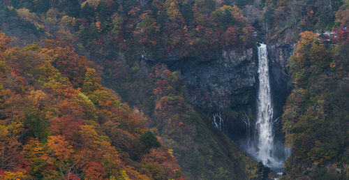 Scenic view of waterfall in forest