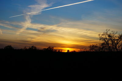 Silhouette trees against sky during sunset