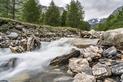 Stream flowing through rocks in forest