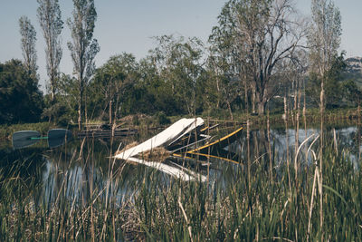 Scenic view of lake against trees