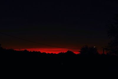 Silhouette of trees at sunset