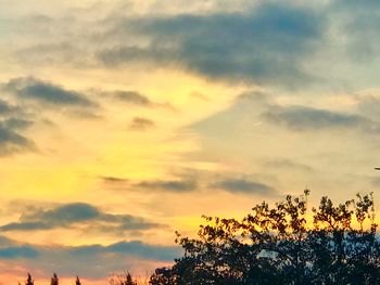 Low angle view of silhouette trees against dramatic sky