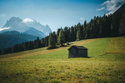 Scenic view of trees on field against sky