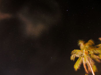 Low angle view of star field against sky at night