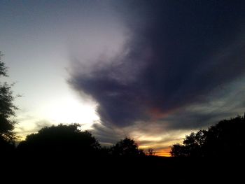 Low angle view of silhouette trees against sky