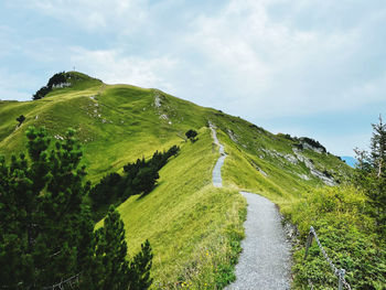 Ridge trail 