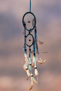 Close-up of feather against sky during sunset