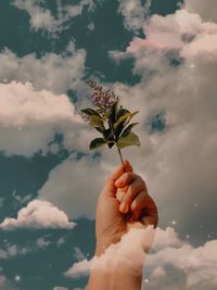 Digital composite image of cropped hand holding plant against sky