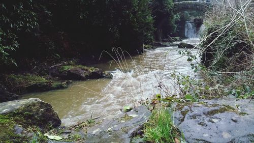 Waterfall in forest