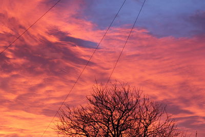 Low angle view of bare trees against cloudy sky