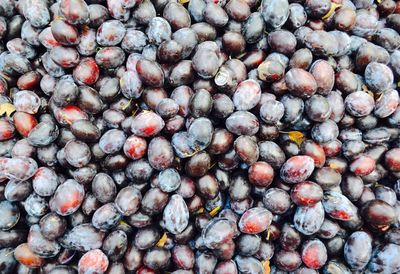 Full frame shot of blueberries