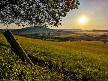 Scenic view of field against sky during sunset