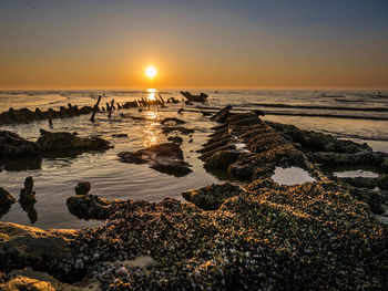 Sunset with exposed shipwreck at low tide from world war ii close to the beach