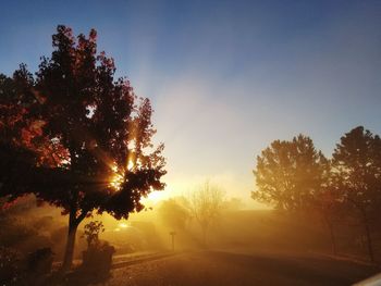 Silhouette trees by road against sky during sunset