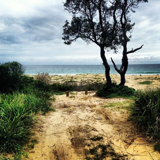 sea, horizon over water, sky, water, beach, tranquility, tranquil scene, scenics, tree, cloud - sky, beauty in nature, grass, cloud, nature, shore, walking, person, lifestyles, men