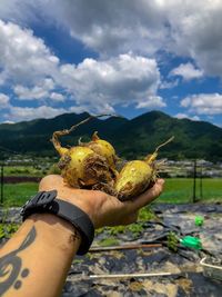 Cropped hand holding fruits against cloudy sky