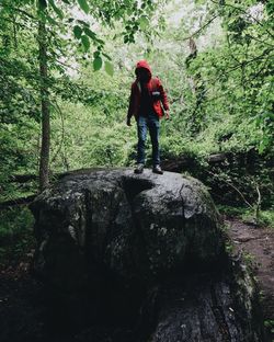 Rear view of woman standing on rock in forest