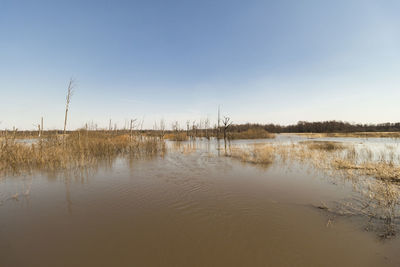 Scenic view of lake against clear sky