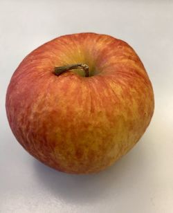 High angle view of apple on white background