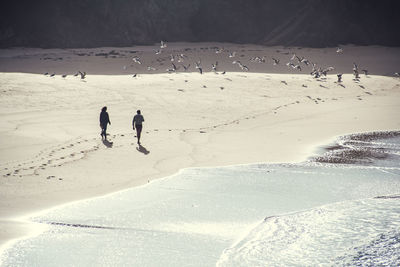 People on beach