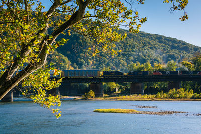 Scenic view of river by trees and bridge during autumn