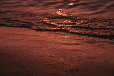 Water on shore at beach during sunset