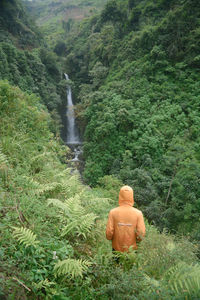 Rear view of man looking at waterfall in forest