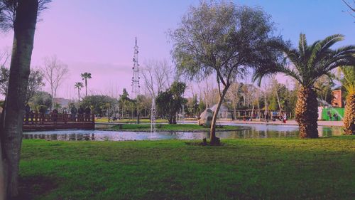 Trees in park against sky