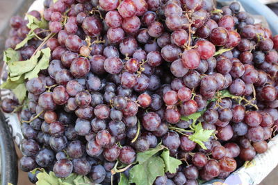 Close-up of grapes