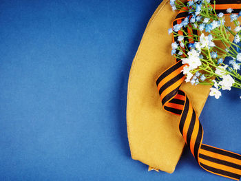 High angle view of blue and white flower on table