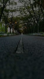 Surface level of empty road along trees