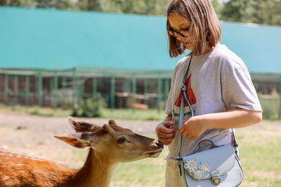 A girl feeding cute spotted deer bambi at petting zoo. 