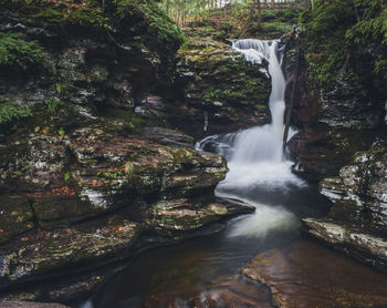 Scenic view of waterfall in forest