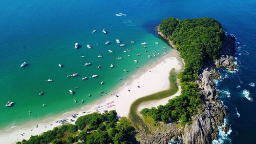 High angle view of plants on beach