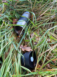 High angle view of camera on field