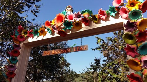 Low angle view of colorful flowers hanging against blue sky