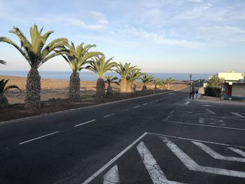 Palm trees on road by sea against sky