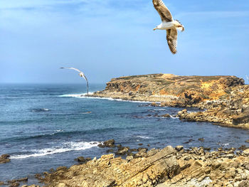 Seagulls flying over sea against sky