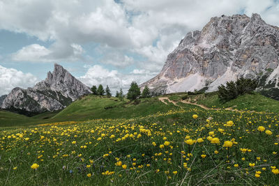 Scenic view of grassy field against cloudy sky