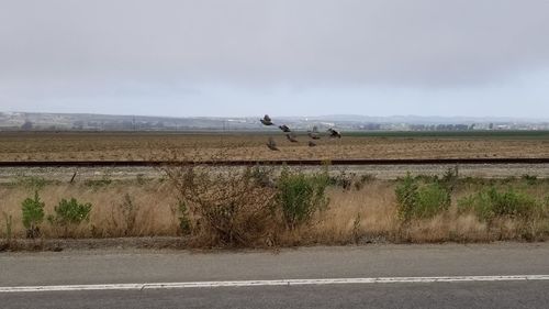 View of road on field against sky